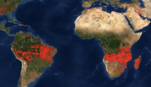 Scorched Earth: Using NASA Fire Data to Monitor War Zones